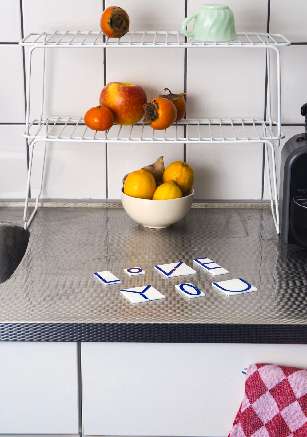 Galapagos Game™ by Felix Salut- Pocket Version